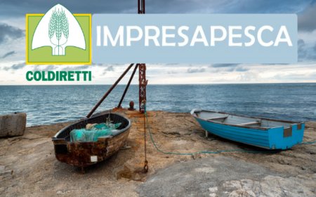 Scatta il fermo pesca 2019. Ecco le date e le novità