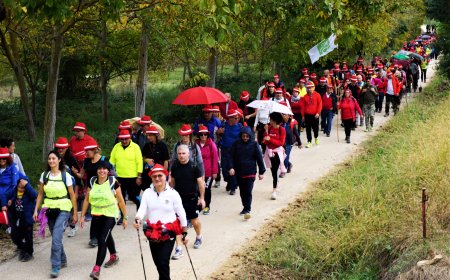 Torna l'enotrekking del Cammino dei Vignandanti