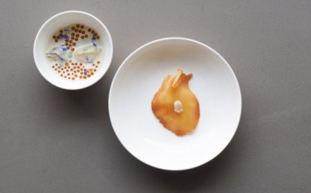 I love Ostrica arriva nella prestigiosa cucina del ristorante «D’O»