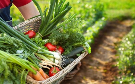 Italia leader nel biologico