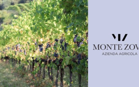 Monte Zovo: appuntamento in cantina per festeggiare la vendemmia