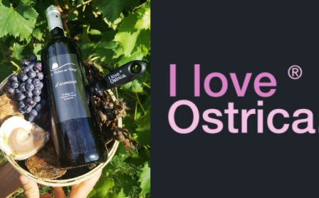 I love Ostrica oltre i tabù: l'abbinamento Belon e vino rosso