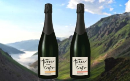 Trento DOC di Terre dell'Orso: raffinate bollicine di montagna