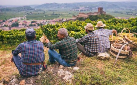 Soave per esempio: il Consorzio chiamato come esempio virtuoso alla Fao