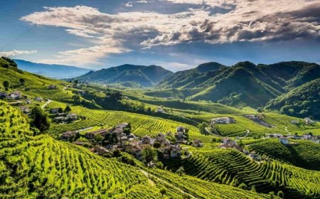 Prosecco-Valdobbiadene, scoppia la guerra sul nome