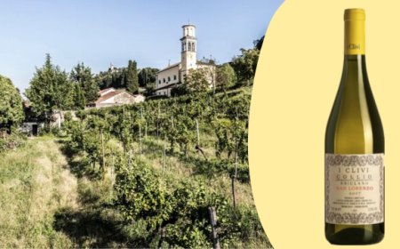 Il nuovo Friulano dellla cantina I Clivi tra i migliori vini d’Italia per AIS