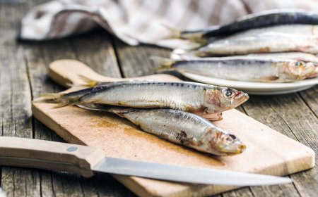 Fish From Greece: arriva l'etichetta che certifica la qualità