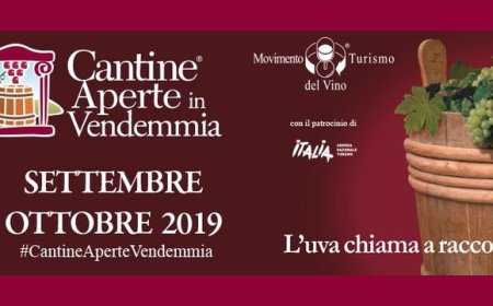 Cantine Aperte in Vendemmia: le cantine abruzzesi pronte per l'evento