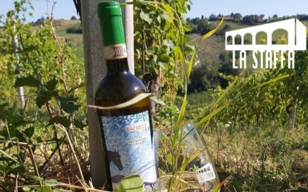 Cantina La Staffa: triplo brindisi per la riserva di Verdicchio "Rincrocca"