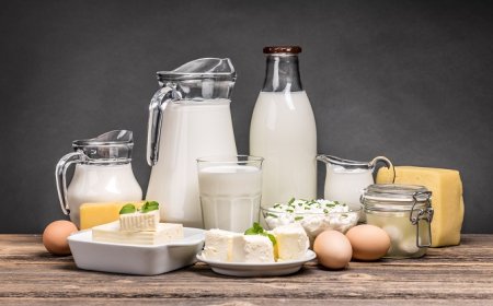 Alleanza Cooperative Agroalimentari: il valore della filiera italiana del latte e l'allarme per i dazi