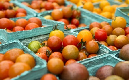 Ecco le dieci aziende del bio italiane che fatturano di più