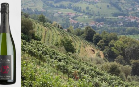 Lo spumante "il 33" di Colletto tra i 100 migliori vini d'Italia