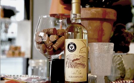 Tenuta Il Plino sarà premiata al Merano Wine Festival