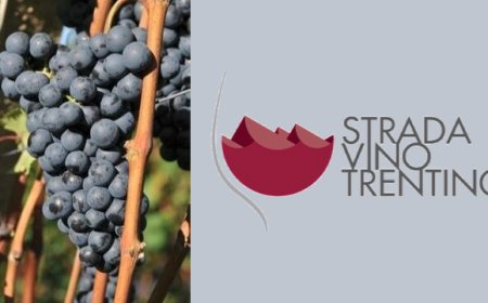 A tutto Marzemino lungo la Strada del Vino e dei Sapori del Trentino