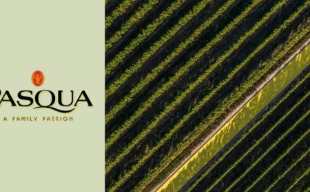 Pasqua Vini, vendemmia ritardata ma buone attese