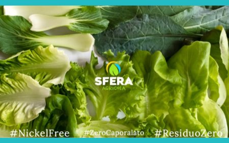 Sfera Agricola Nichel free grazie alle serre idroponiche