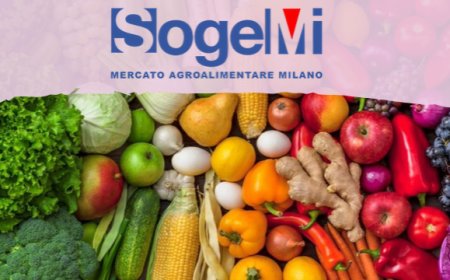 Aumento di capitale per Sogemi: al via i lavori per il nuovo mercato ortofrutticolo