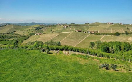 La Penultima Cena: un pasto da 24 ore per diventare un'opera d'arte