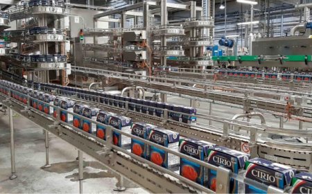 Conserve Italia investe 7 mln di euro per il pomodoro