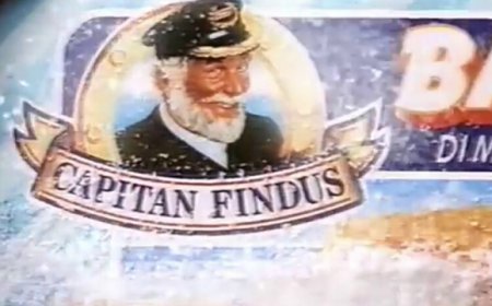 Bastoncini Findus: dalla storia del piatto del Capitano alle ricette