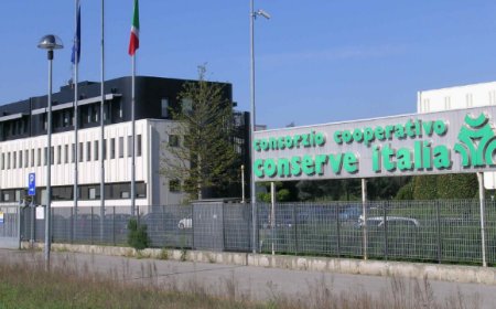 Conserve Italia: approvato il bilancio. Aumenta export e taglia i debiti