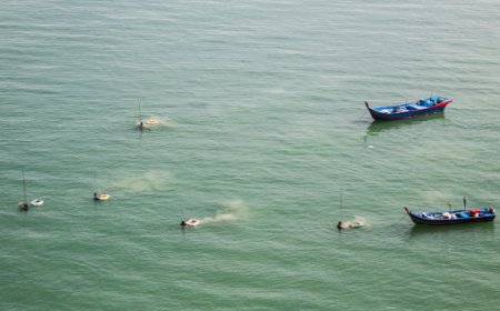 Insediato il Tavolo di consultazione permanente della Pesca e dell'Acquacoltura