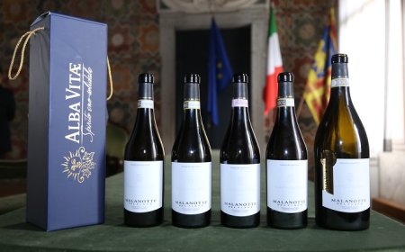 Alba Vitae: nel Malanotte 2010 la solidarietà di AIS Veneto