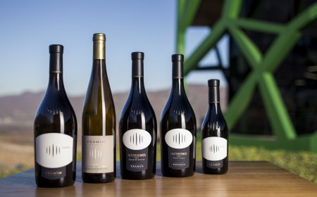 Cantina Tramin: un workshop internazionale sul Gewürztraminer