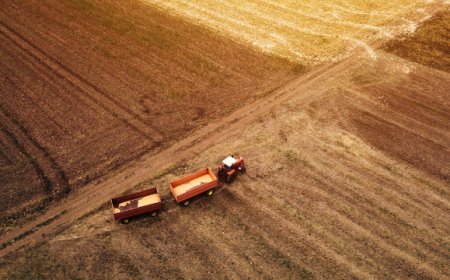 Finance For Food One, il fondo di investimenti da 80 mln per l'agricoltura.