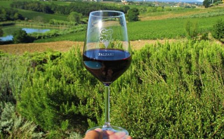 Falzari presenta Pilandra IGT Rosso Toscano 2016 elegante sangiovese in purezza