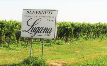 Continua l'intensa attività promozionale del Consorzio Lugana DOC