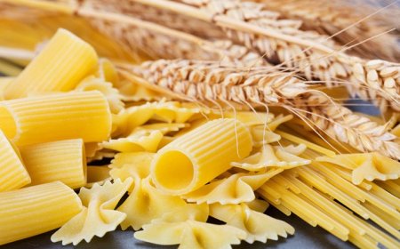 Consorzio Global Fresh Fruit: l'esperienza di successo del contratto di filiera