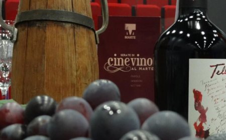 Cinevino: torna il cineforum ispirato al nettare degli Dei