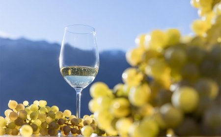 A Naturno il 14esimo Concorso nazionale del Riesling