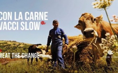 Al via Meat the Change, la campagna di Slow Food dedicata al tema carne