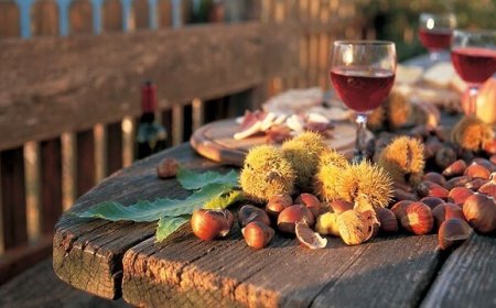 Si apre la stagione del vino novello