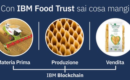 Gruppo Grigi con IBM Food Trust per offrire pasta certificata Blockchain