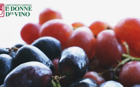 Le Donne del Vino in missione sull'isola di Malta