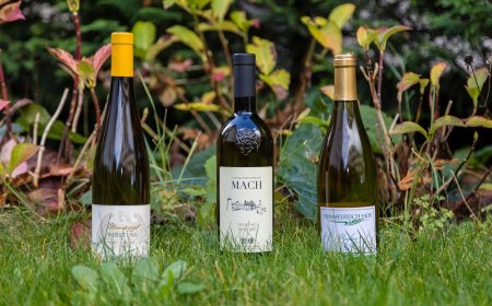 I risultati del 14° Concorso nazionale del Riesling