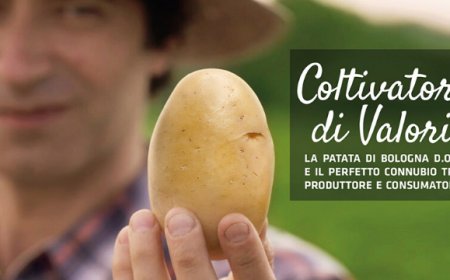 Il Consorzio di Tutela Patata di Bologna D.O.P. presenta il suo progetto di tracciabilità