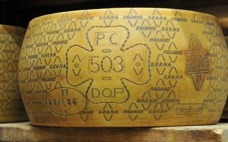 Grana Padano in tour con #LaSfida per la sostenibilità