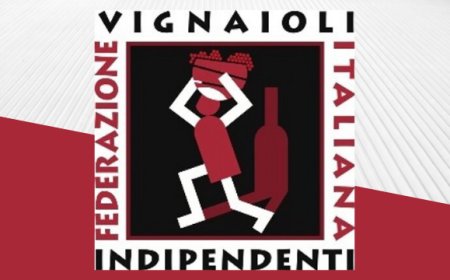 Mercato FIVI: Lorenzo Accomasso, Cavaliere del Barolo, è il Vignaiolo dell'anno