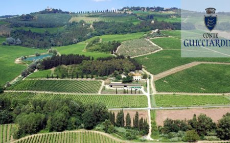 Conte Guicciardini festeggia una vendemmia positiva e mostra le prospettive future