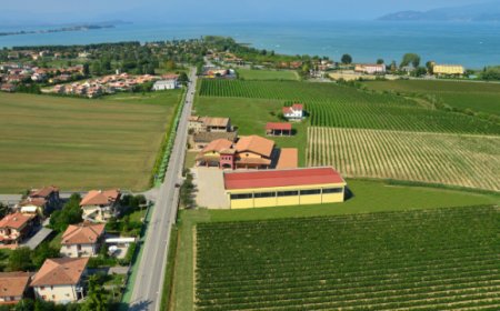 Un tour fra le migliori cantine a conduzione femminile targato Visit Brescia