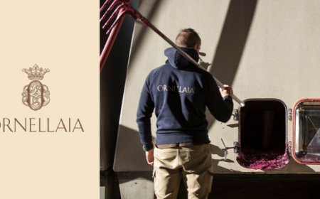 Ornellaia: la cantina tira le somme della vendemmia 2019
