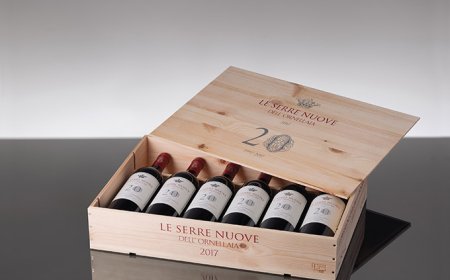 Le Serre Nuove dell’Ornellaia 2017:  venti anni di elegante complessità