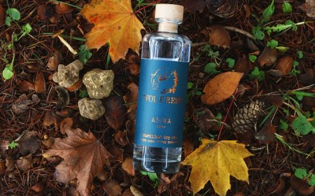 Wolfrest Alba: dalle Langhe arriva il Gin al tartufo bianco di Alba