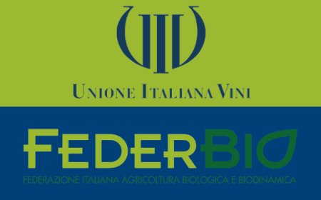 Federbio e UIV, partnership per valorizzare il settore vitivinicolo biologico italiano