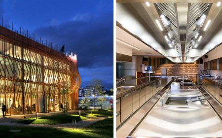 Il progetto dell'architetto Sabrina Masala per la Scuola di Alta Formazione Gastronomica In Cibum