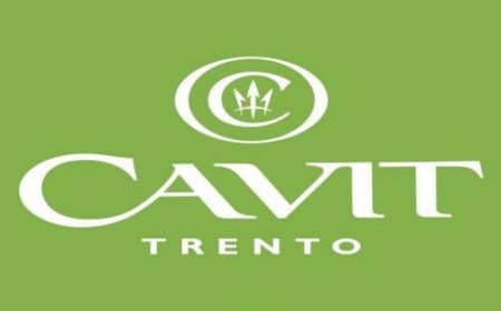Cavit premiata come Miglior Cantina d'Europa 2019